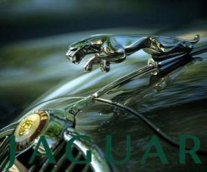 пазл Jaguar,  Ягуар логотипа британской марки автомобилей класса люкс и спортивных автомобилей